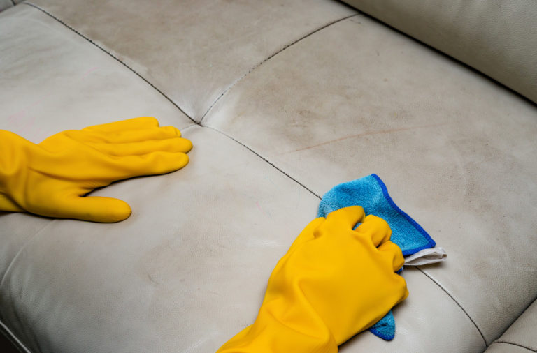person cleaning the couch